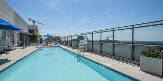 Ellis Bethesda Gallery 5