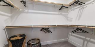 Maple Gallery 11