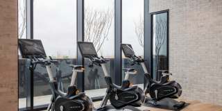 Gables Union Market Gallery 12