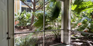 4207 S Dale Mabry Hwy Gallery 24