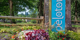 Peloton Apartments Gallery 1