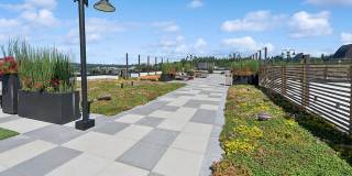 The Brynn Apartments Gallery 22