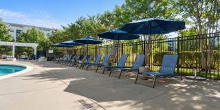 Windsor Leesburg Parent Gallery 32
