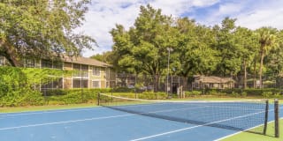 Laurel Oaks Gallery 22