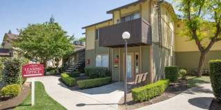 Santa Rosa Gallery 5