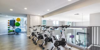 The Slade at Channelside Gallery 19