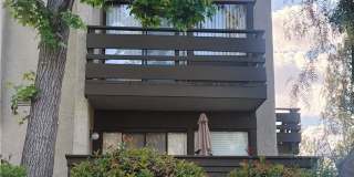 22852 Hilton Head Drive Gallery 14