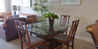 817 Mystic Drive unit: B407 Gallery 7