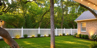 14118 Red Maple Wood 14118 Red Maple Wood Gallery 14