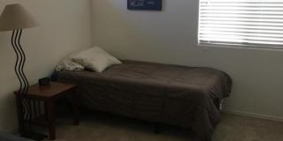 Exquisite Chandler 4 bed 3 bath home with Community Pool!! Gallery 10