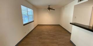 AVAILABLE:  2 BR-1 BA Hyde Park Condo / Laminate Wood Floors / Close to UT and Downtown Gallery 17