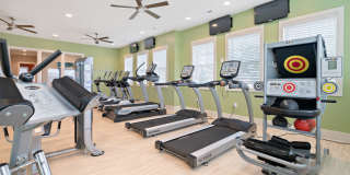 Hawthorne at Weaverville Gallery 15