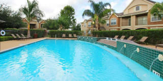 Las Palmas Apartments Gallery 8