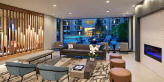 AVE Clifton Gallery 10