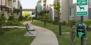 The Element Gallery 23