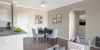 The Tides Apartments Gallery 5