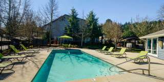 Vista Ridge Gallery 12