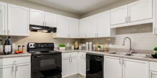 Evergreen Park Gallery 13