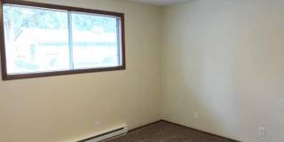 Janet Court Gallery 5