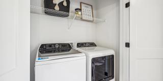 Pines at Wake Forest Gallery 12