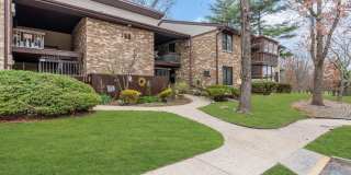 168 Amberly Drive Gallery 1