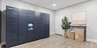 Kinsley Forest Gallery 21