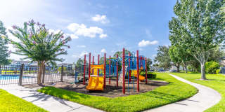 Summer Cove Gallery 9