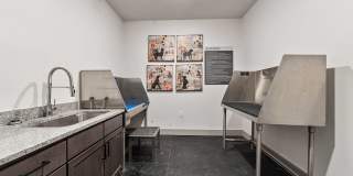 Knox at Metrocenter Gallery 18