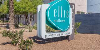 Ellis Midtown Gallery 2