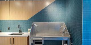 Alexan Peabody Gallery 23