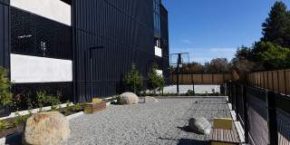 Ember Ember Gallery 11