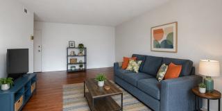 Takoma Towers Gallery 13