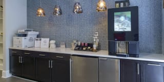 The Collection Gallery 19