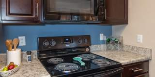 Wilde Lake Gallery 25