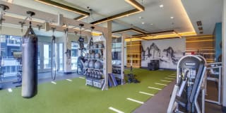 Oceanaire Gallery 14