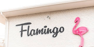 Flamingo Gallery 4