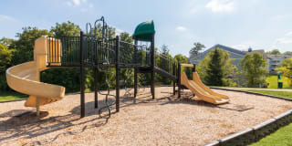 The Trails of Saddlebrook Gallery 61