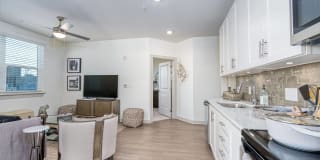 Meridian at the Port Gallery 91