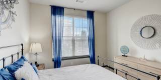 Springs at 2534 Gallery 9