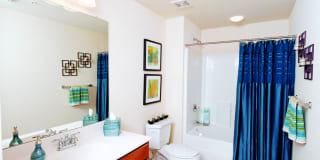 The Preserve Gallery 11