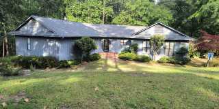 Relaxed Executive Gallery 1