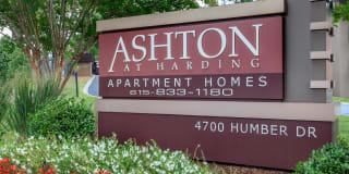 Ashton at Harding Gallery 49