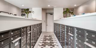 Revl Med Center Gallery 34