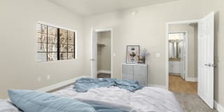 Fountain Palms Gallery 8