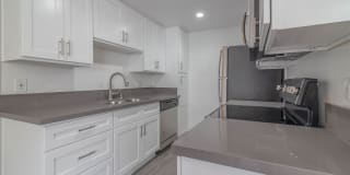 THE MODERN CACTUS Gallery 9