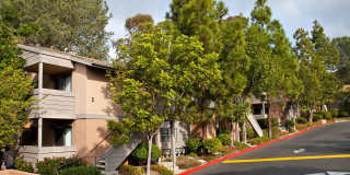 Elán Quail Pointe Apartment Homes Elán Quail Pointe Apartment Homes Gallery 2
