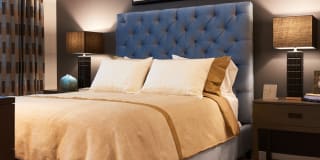 Evolution at Towne Centre Gallery 35