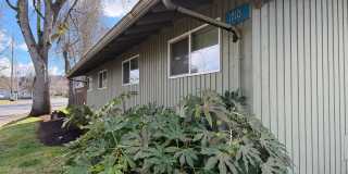 Updated 2 bedroom 1 bath duplex in Eugene!  $200 OFF YOUR FIRST MONTH'S RENT! Gallery 1