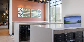 Orlo & Alba Gallery 30