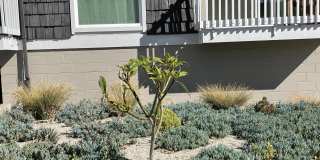LUXURY LIVING AT AN AFFORDABLE PRICE Gallery 13